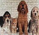 1000 Parça Ahşap Puzzle